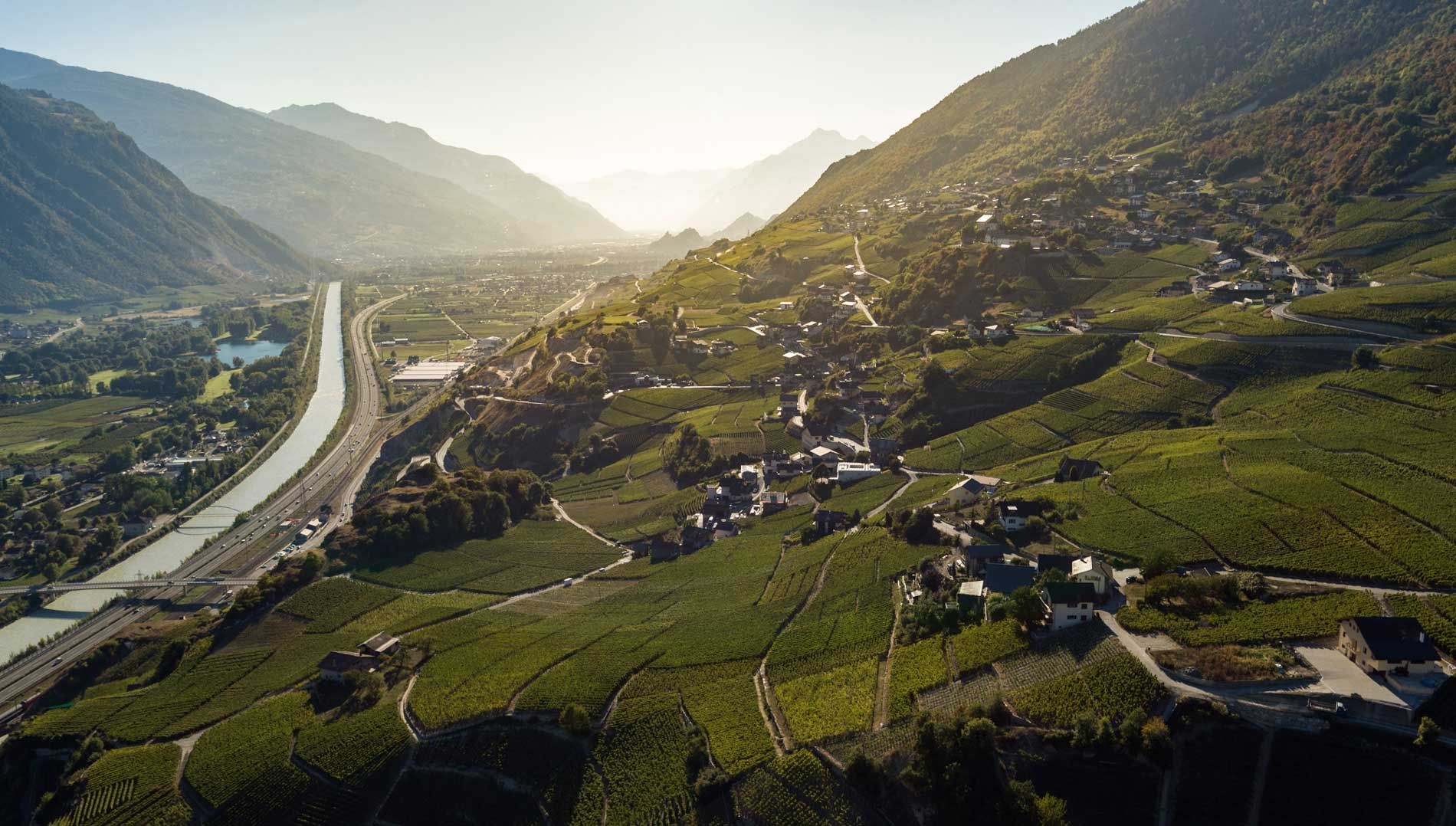 Vins, Terroir et Raclette